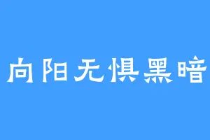 向阳无惧黑暗