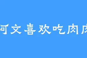 阿文喜欢吃肉肉