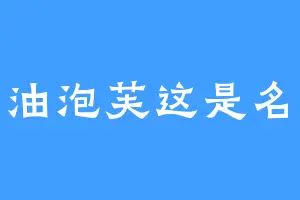 奶油泡芙这是名字