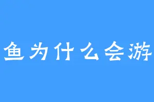 鱼为什么会游