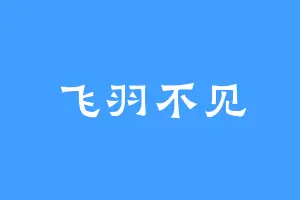 飞羽不见