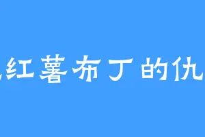爱吃红薯布丁的仇无善