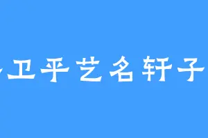 蔡卫平艺名轩子剑