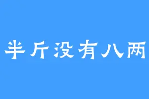 半斤没有八两