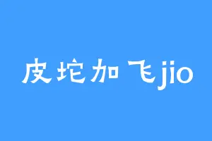 皮坨加飞jio
